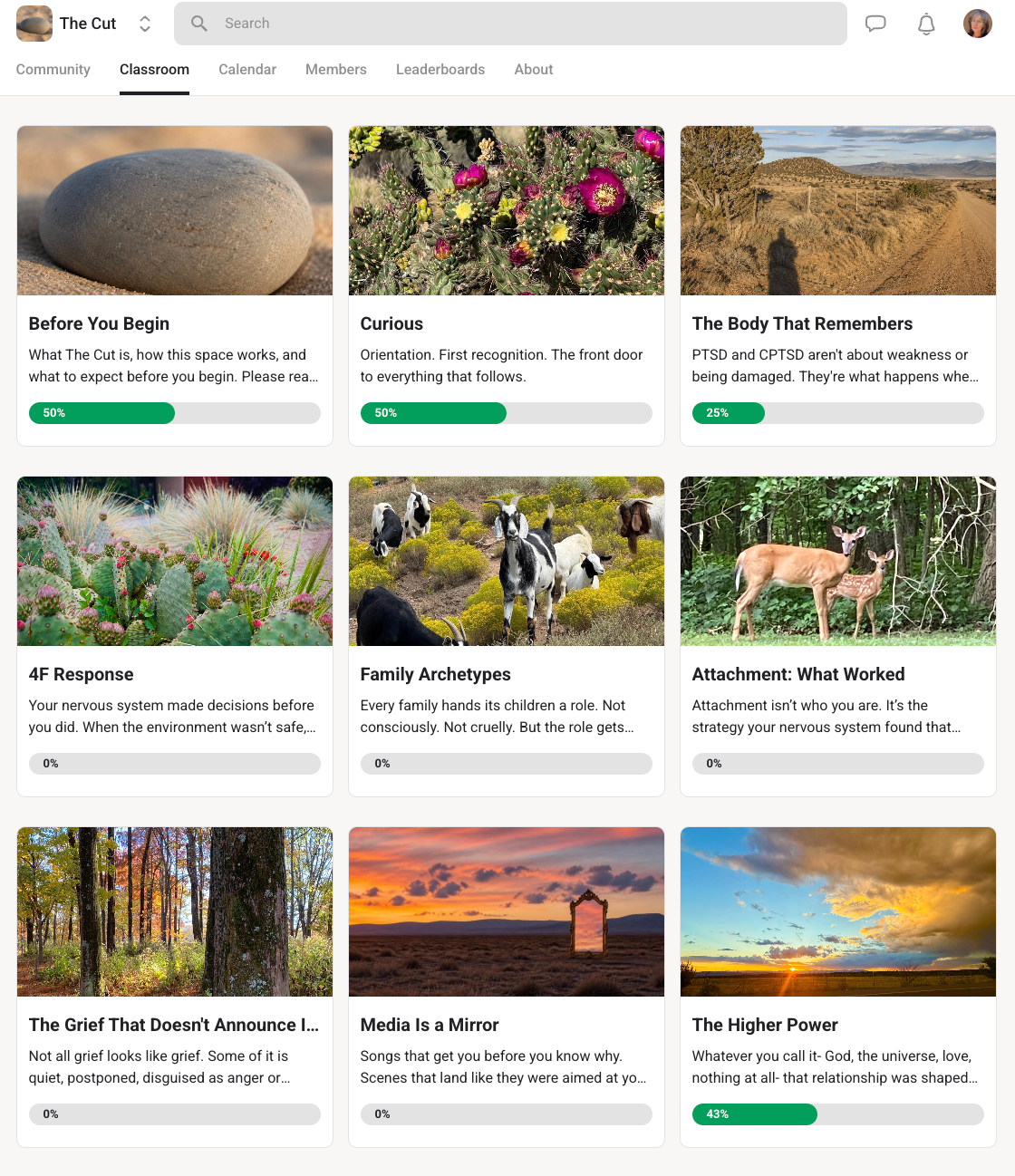 Actual view of The Cut classroom showing nine nature-illustrated learning modules, including Curious, The Body That Remembers, 4F Response, Family Archetypes, Attachment: What Worked, and grief